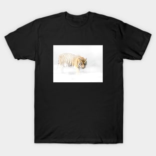 Tiger Animal Feline Wild Life Jungle Nature Freedom Travel Africa Digital Painting T-Shirt